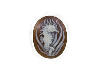 Seahorse w/Grass cameo